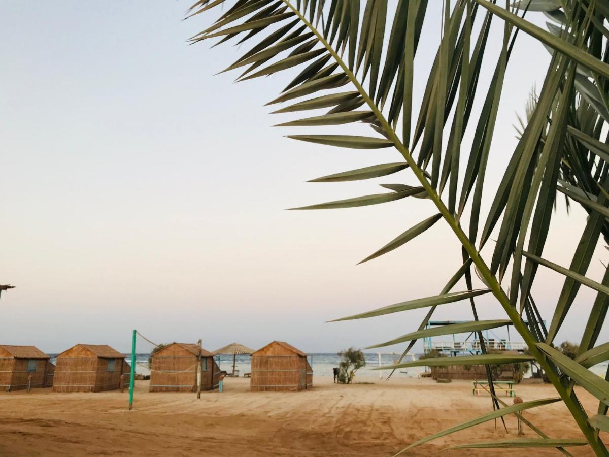 Готель Half Moon Camp Таба Екстер'єр фото