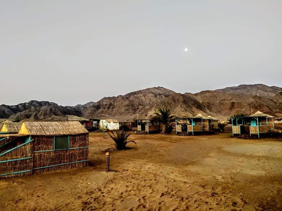 Готель Half Moon Camp Таба Екстер'єр фото